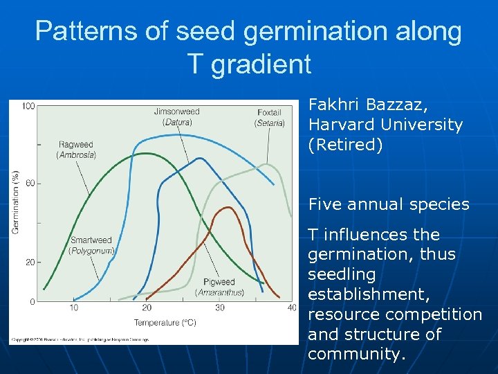 Patterns of seed germination along T gradient Fakhri Bazzaz, Harvard University (Retired) Five annual