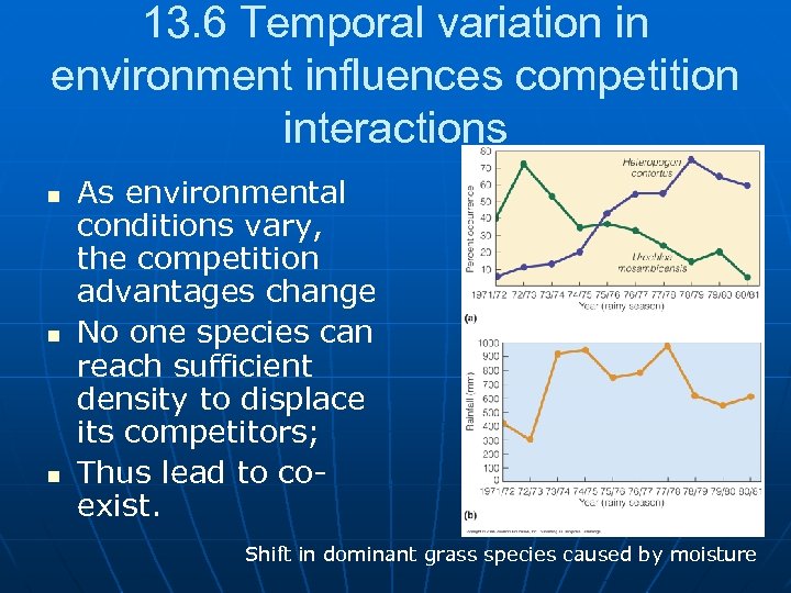 13. 6 Temporal variation in environment influences competition interactions n n n As environmental
