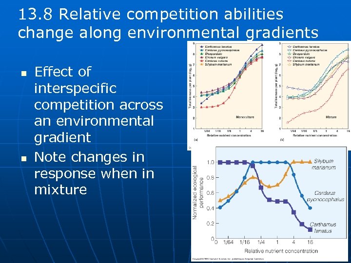13. 8 Relative competition abilities change along environmental gradients n n Effect of interspecific