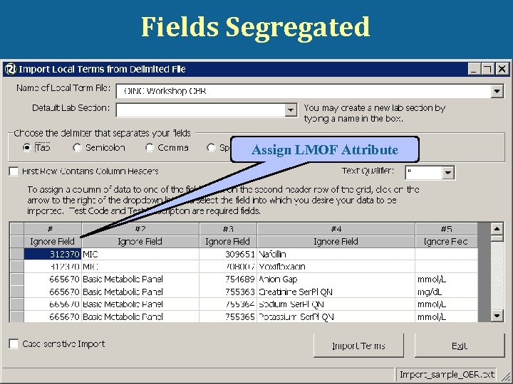 Fields Segregated Assign LMOF Attribute © 2008 Regenstrief Institute and James Case 