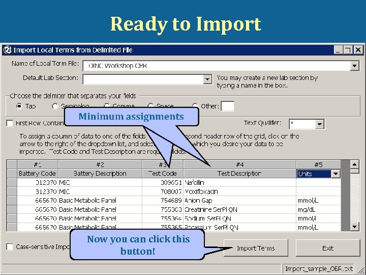 Ready to Import Now you can click this button! © 2008 Regenstrief Institute and