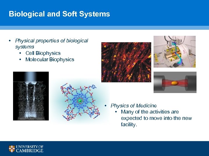 Biological and Soft Systems • Physical properties of biological systems • Cell Biophysics •