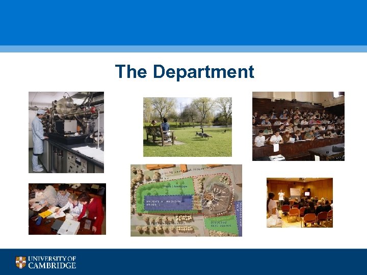 The Department 