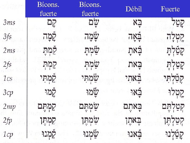 Bicons. fuerte Débil Fuerte 