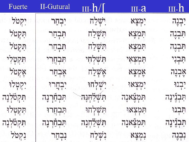 Fuerte II-Gutural III-h/[ III-a III-h 