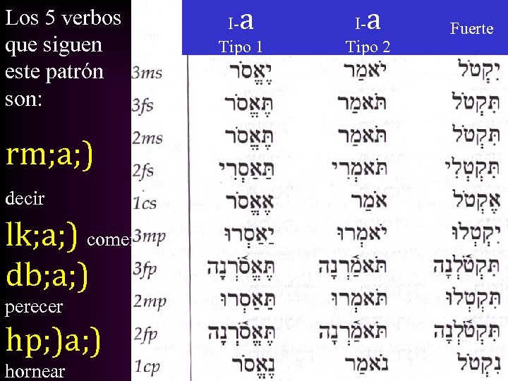 Los 5 verbos que siguen este patrón son: rm; a; ) decir lk; a;