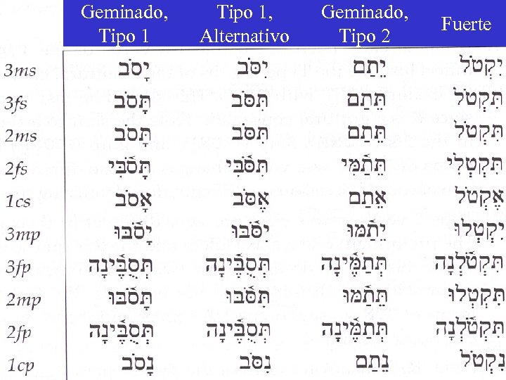 Geminado, Tipo 1, Alternativo Geminado, Tipo 2 Fuerte 