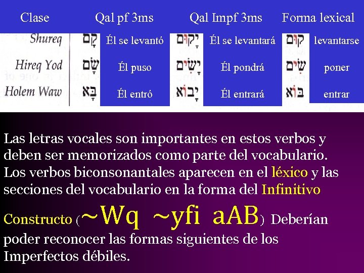 Clase Qal pf 3 ms Qal Impf 3 ms Forma lexical Él se levantó
