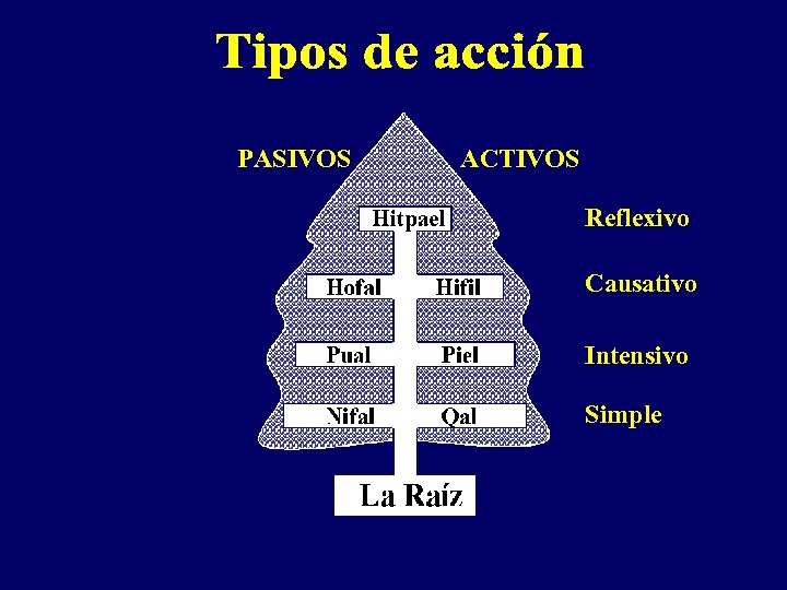PASIVOS ACTIVOS Reflexivo Causativo Intensivo Simple 