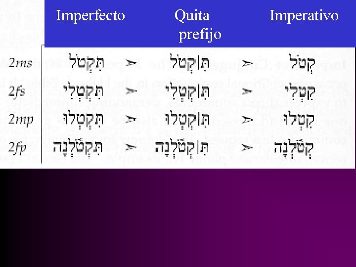 Imperfecto Quita prefijo Imperativo 