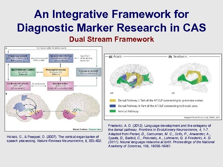 An Integrative Framework for Diagnostic Marker Research in CAS Dual Stream Framework Hickok, G.