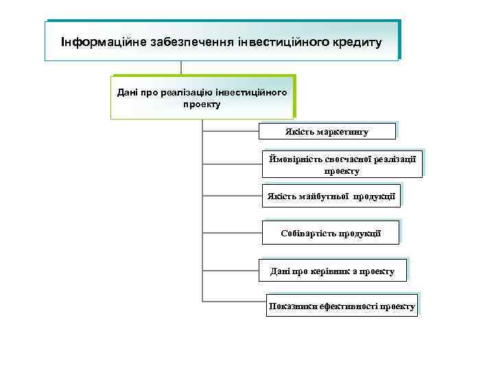 Інформаційне забезпечення інвестиційного кредиту Дані про реалізацію інвестиційного проекту Якість маркетингу Ймовірність своєчасної реалізації