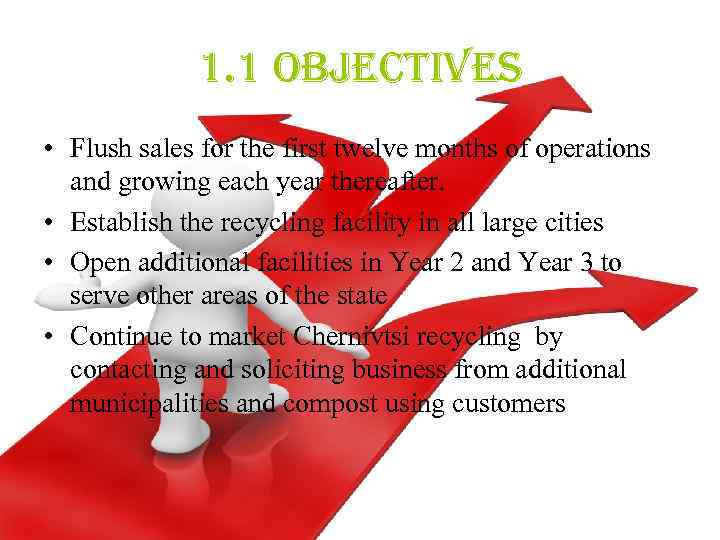 1. 1 objectives • Flush sales for the first twelve months of operations and