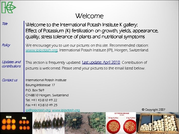 Welcome Title Welcome to the International Potash Institute K gallery: Effect of Potassium (K)