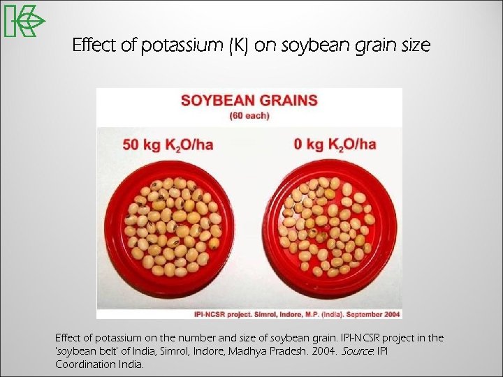 Effect of potassium (K) on soybean grain size Effect of potassium on the number