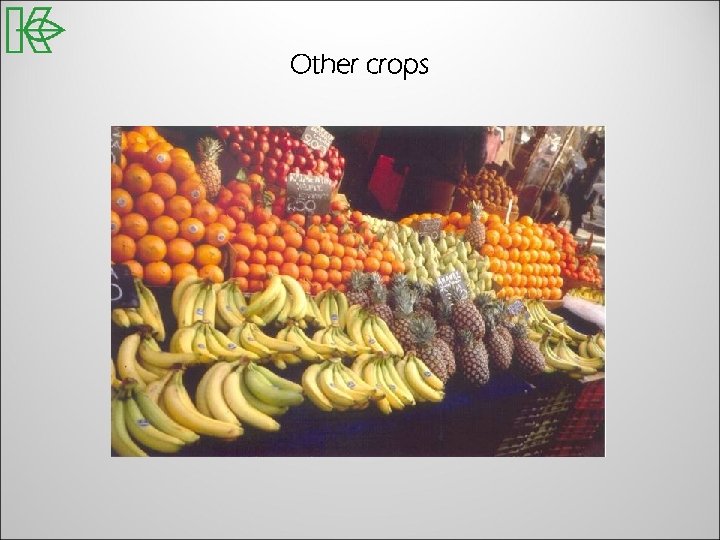 Other crops 