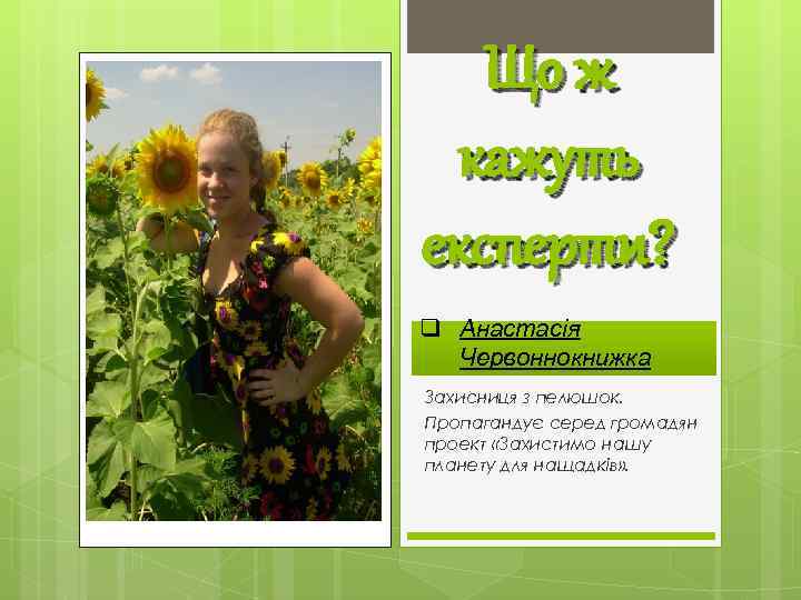 Що ж кажуть експерти? q Анастасія Червоннокнижка Захисниця з пелюшок. Пропагандує серед громадян проект