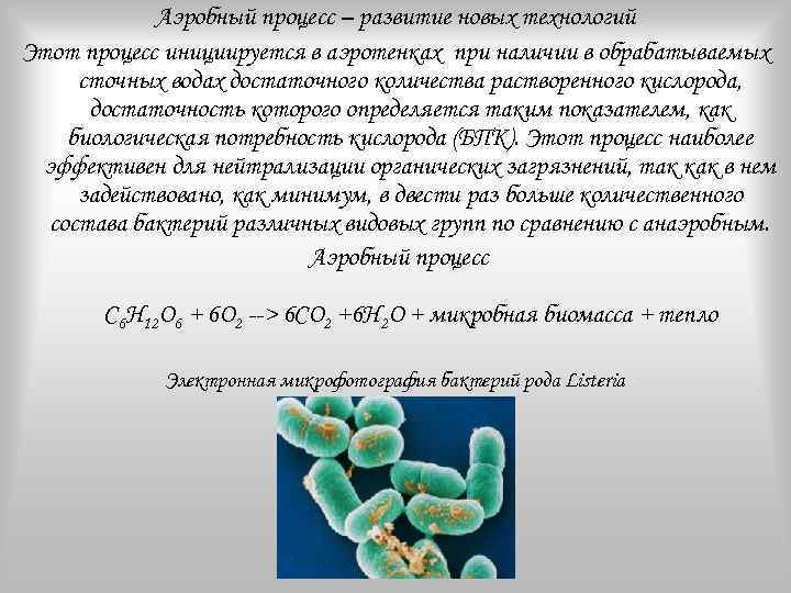 Аэробный процесс – развитие новых технологий Этот процесс инициируется в аэротенках при наличии в