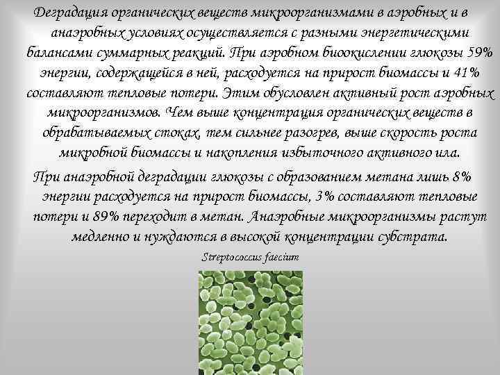 Деградация органических веществ микроорганизмами в аэробных и в анаэробных условиях осуществляется с разными энергетическими