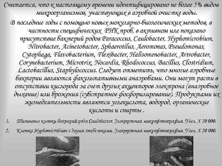 Считается, что к настоящему времени идентифицировано не более 5% видов микроорганизмов, участвующих в аэробной