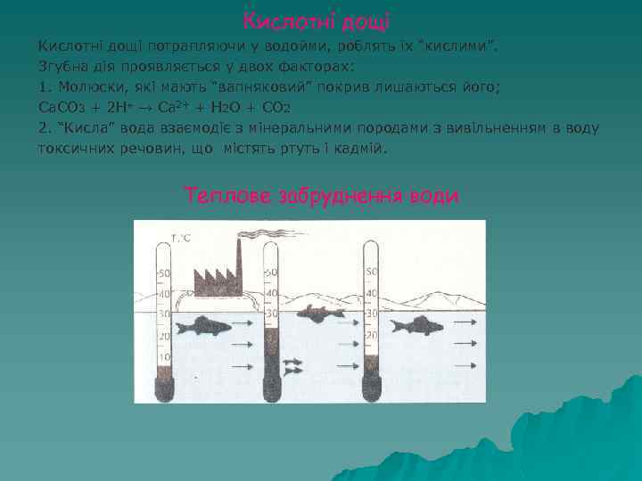 Кислотні дощі потрапляючи у водойми, роблять їх “кислими”. Згубна дія проявляється у двох факторах: