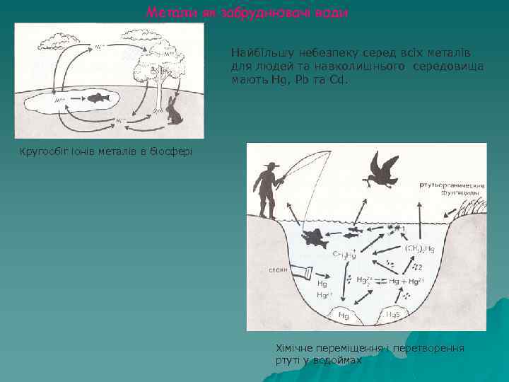 Метали як забруднювачі води Найбільшу небезпеку серед всіх металів для людей та навколишнього середовища