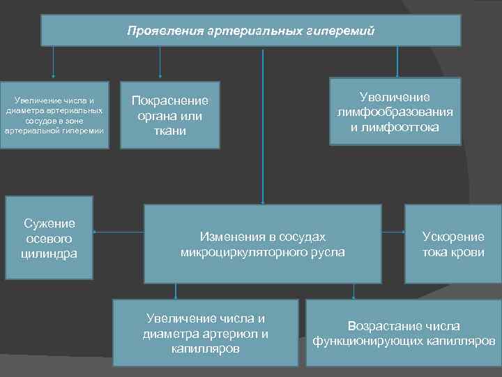 Проявления артериальных гиперемий Увеличение числа и диаметра артериальных сосудов в зоне артериальной гиперемии Сужение