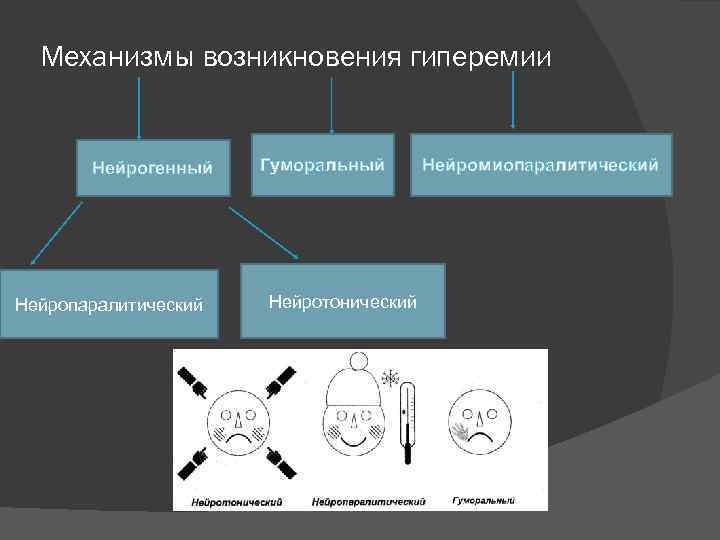 Механизмы возникновения гиперемии Нейрогенный Нейропаралитический Гуморальный Нейротонический Нейромиопаралитический 