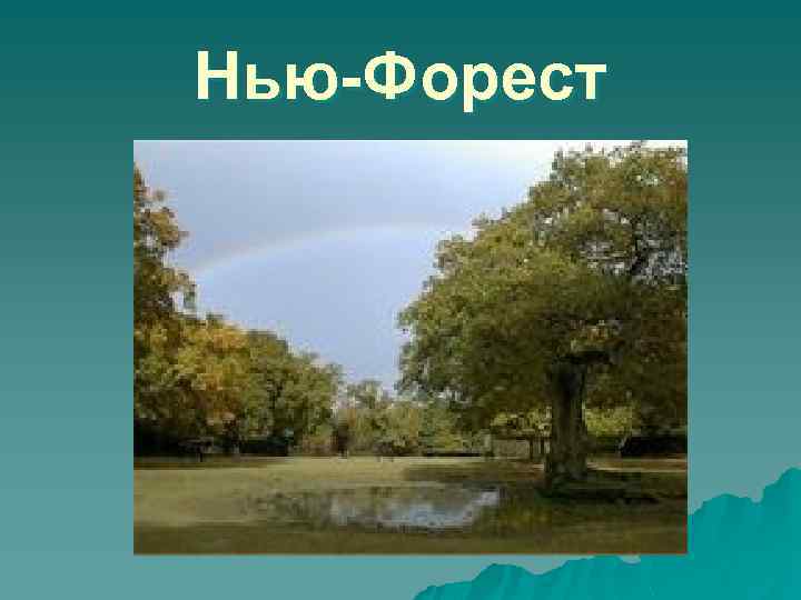 Нью-Форест 