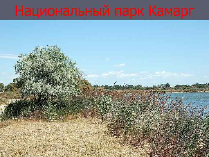Национальный парк Камарг 