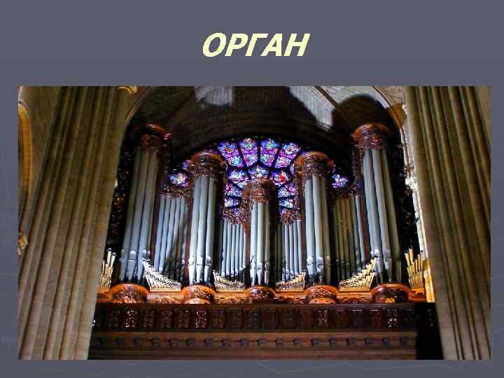 ОРГАН 