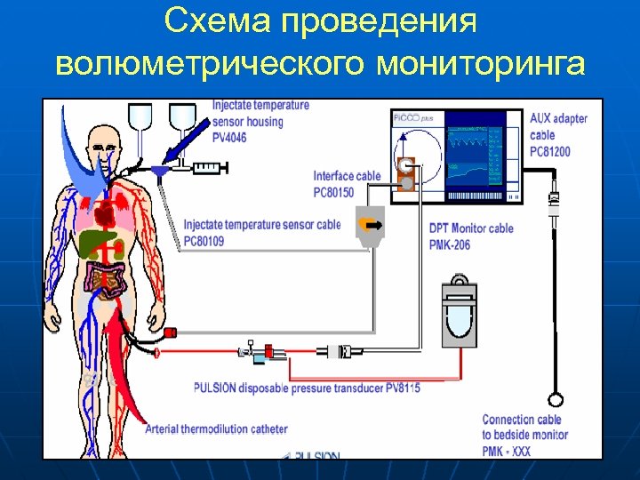 Схема проведения волюметрического мониторинга 
