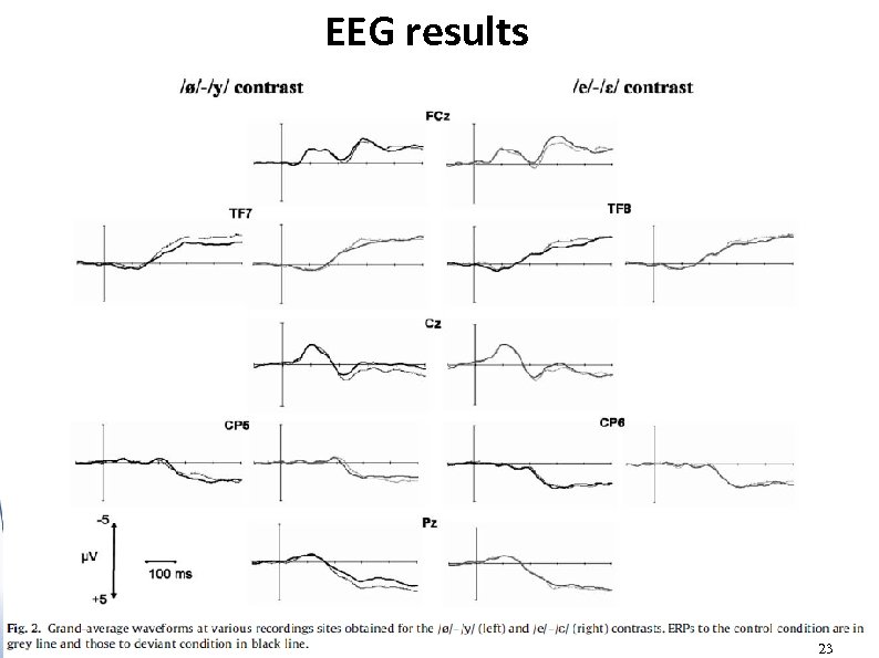 EEG results 23 