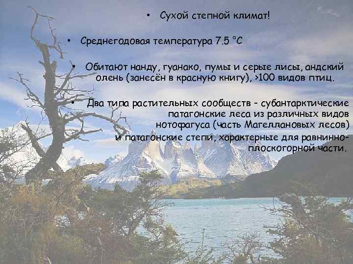 • Сухой степной климат! • Среднегодовая температура 7. 5 °C • Обитают нанду,