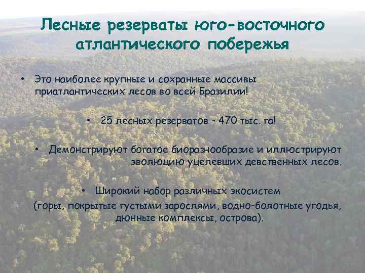 Лесные резерваты юго-восточного атлантического побережья • Это наиболее крупные и сохранные массивы приатлантических лесов