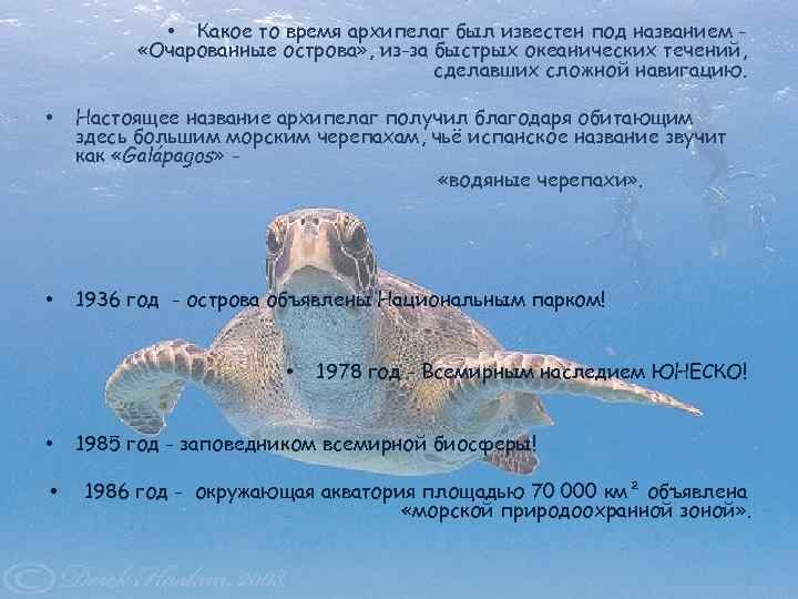  • Какое то время архипелаг был известен под названием «Очарованные острова» , из-за