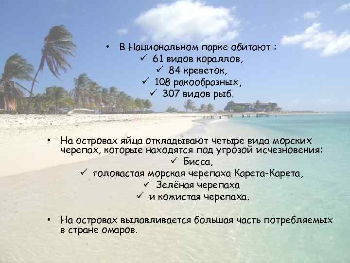  • В Национальном парке обитают : ü 61 видов кораллов, ü 84 креветок,