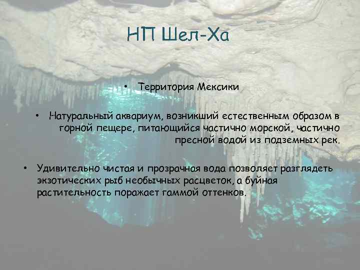 НП Шел-Ха • Территория Мексики • Натуральный аквариум, возникший естественным образом в горной пещере,