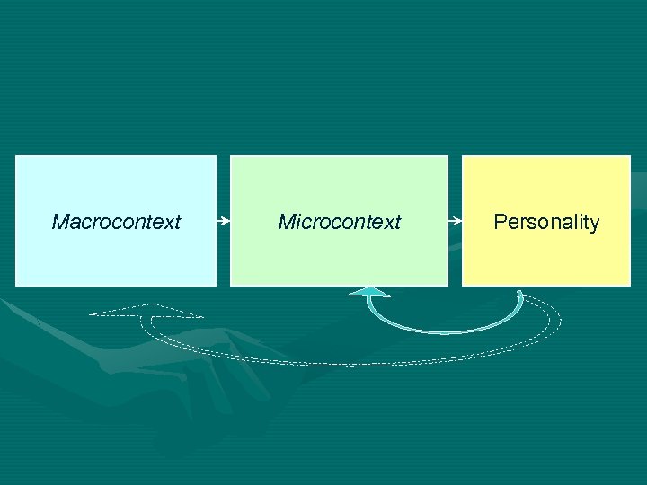 Macrocontext Microcontext Personality 