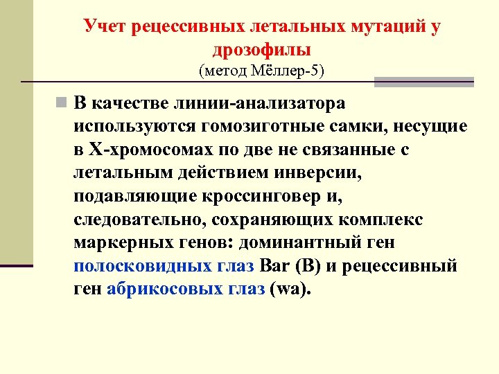 Учет рецессивных летальных мутаций у дрозофилы (метод Мёллер-5) n В качестве линии-анализатора используются гомозиготные