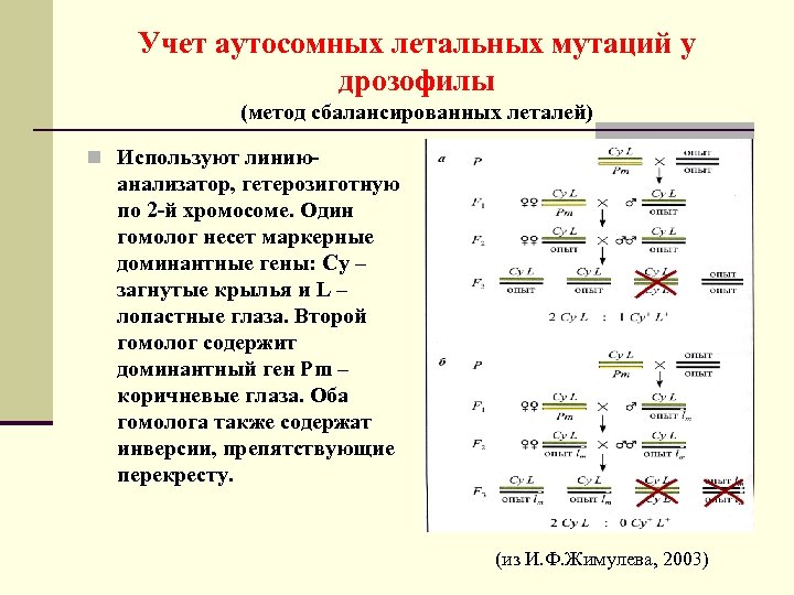 Летальные гены у кур