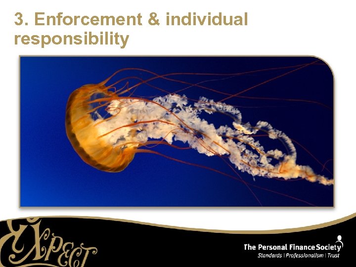 3. Enforcement & individual responsibility 