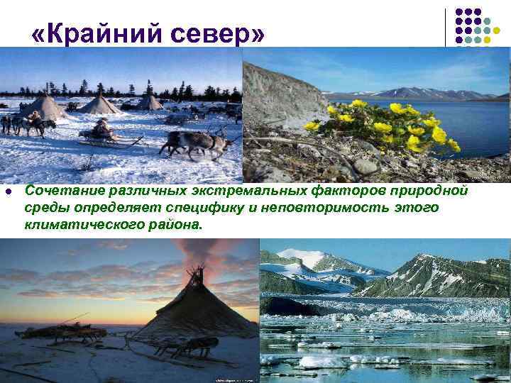  «Крайний север» l Сочетание различных экстремальных факторов природной среды определяет специфику и неповторимость