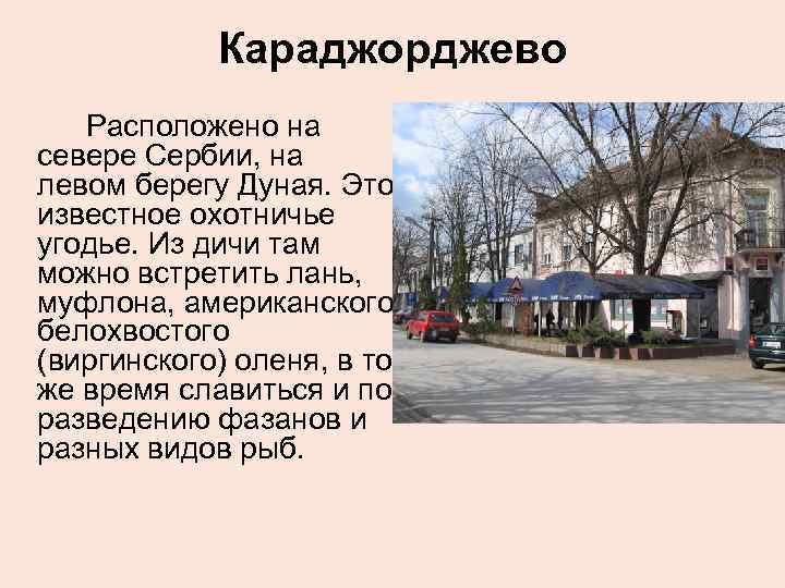 Караджорджево Расположено на севере Сербии, на левом берегу Дуная. Это известное охотничье угодье. Из
