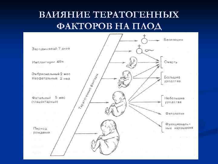 Влияние тератогенных факторов на развитие плода презентация