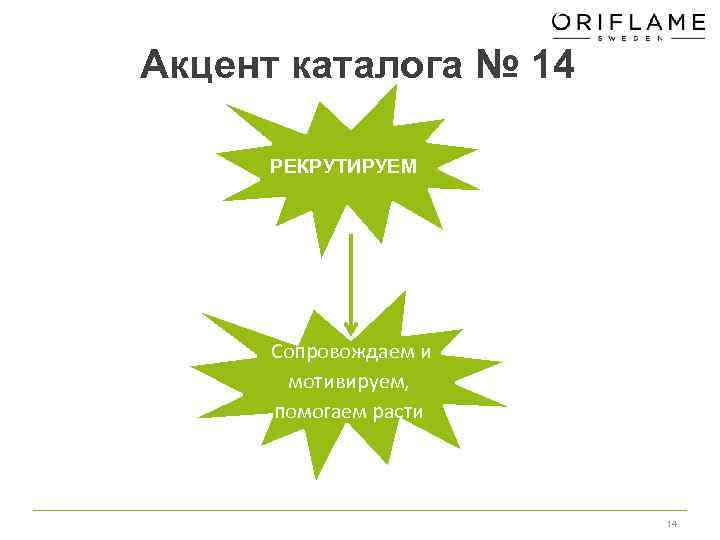 Акцент каталога № 14 рекрутируем РЕКРУТИРУЕМ Сопровождаем и мотивируем, помогаем расти 14 