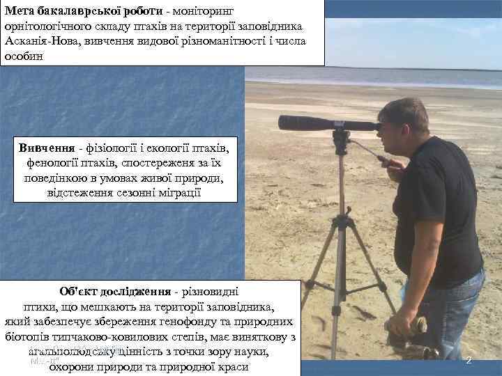 Мета бакалаврської роботи - моніторинг орнітологічного складу птахів на території заповідника Асканія-Нова, вивчення видової
