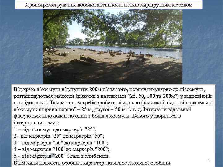 Хронотрометрування добової активності птахів маршрутним методом Від краю лісосмуги відступити 200 м після чого,