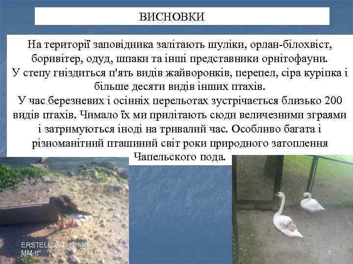 ВИСНОВКИ вод На території заповідника залітають шуліки, орлан-білохвіст, боривітер, одуд, шпаки та інші представники