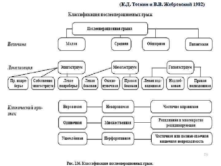 (К. Д. Тоскин и В. В. Жебровский 1982) 50 
